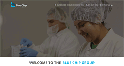 Desktop Screenshot of bluechipgroup.net